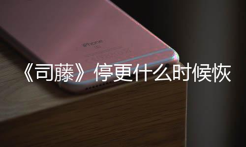 藤停更结局揭秘更新 大司什么时候时间播出恢复