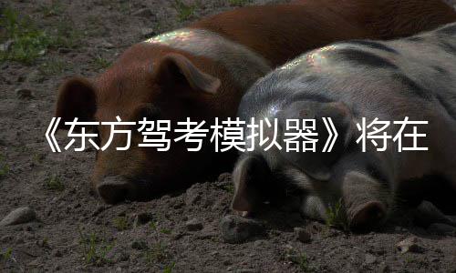 将陆S东平台考模在1拟器日登2月方驾