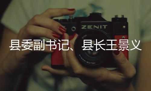 记度重点领县委县长治工作王景义调域群副书腐整