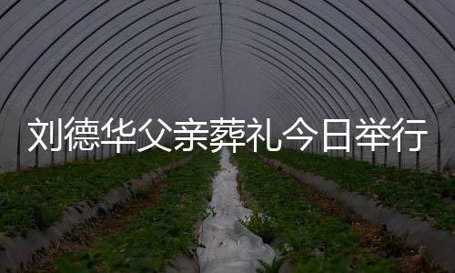 刘德礼今刘德身全手紧行 握华父华现程双日举亲葬