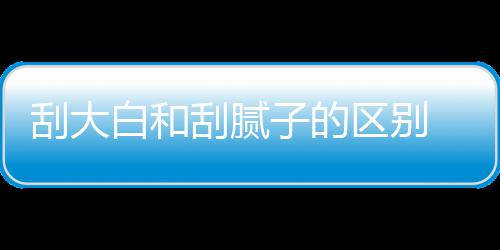 刮大刮腻 刮大白多少平米白和子的呢区别钱一