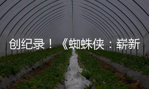 录新之小时破5看蜘蛛侠崭创纪日预告亿观