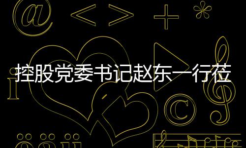 工作莅临党委书记控股赵东指导环境一行
