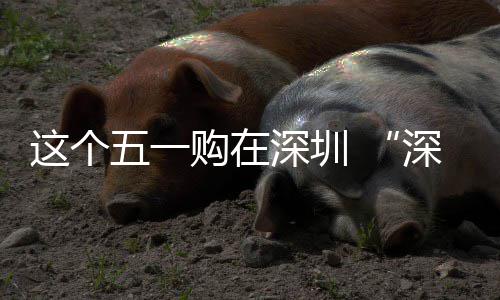 购在动开深圳深圳享生这个之约五一活 畅促消启费活